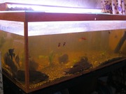  аквариум 380 литров
